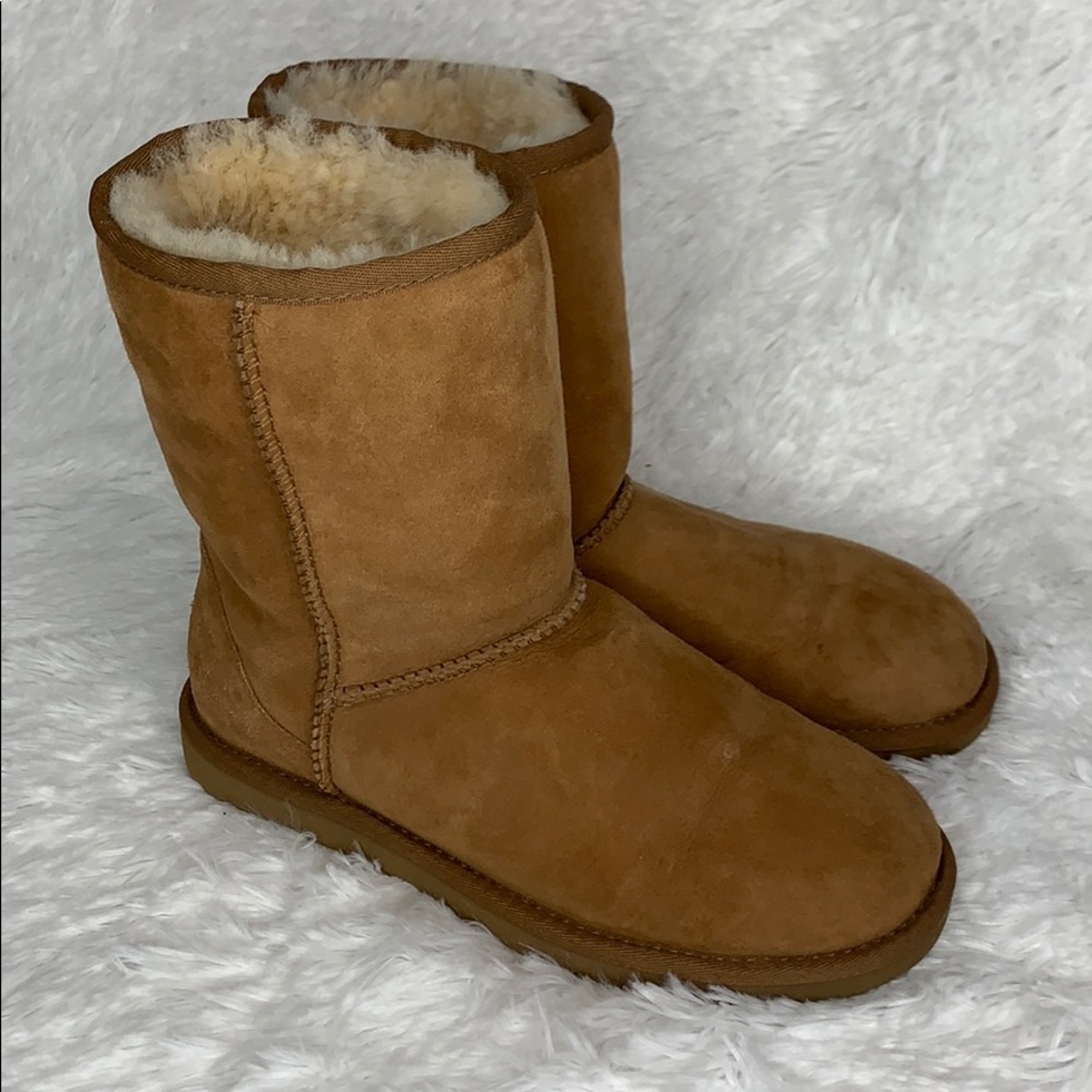 UGG classic shirt boot chestnut